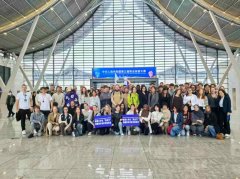 <b>这批德国青年表示出稠密</b>