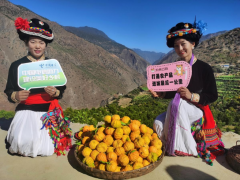 我国农业科技前进贡献率曾经达到了63.