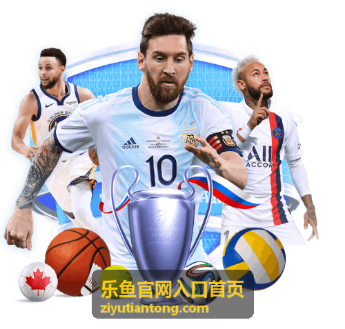 乐鱼平台账户找回与安全设置